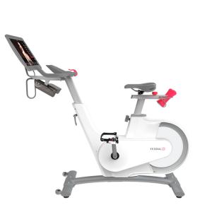 Купить Велотренажер Yesoul BV1-W PLUS в Опочке 